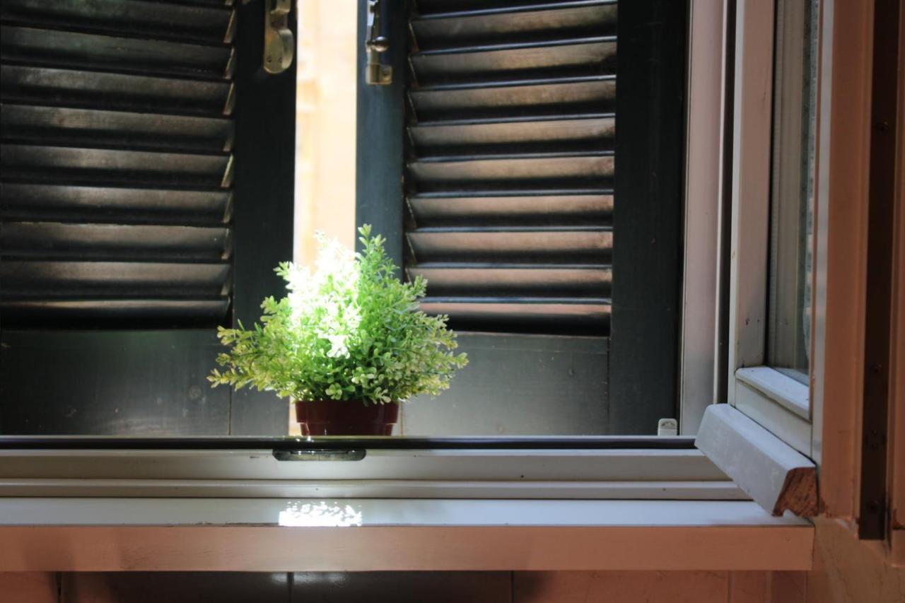 Colosseum New Charming Apartment 로마 외부 사진